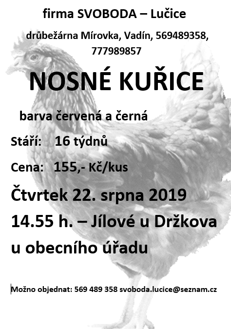 kuřice.PNG